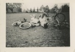 Blurry Photo of Air Force Airmen with Bicycles