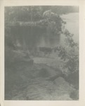 Pond with Trees and a Rocky Bank