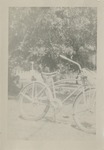 Bicycle Parked In Front of Trees (Faded Photograph)