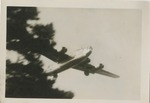 United States Air Force Airplane Flying Over a Tree
