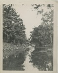Pond With Spanish Moss Hung Trees on Either Side
