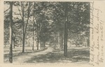 Lovers' Lane, University of Mississippi, Oxford, Mississippi