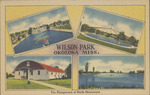 Wilson Park, Okolona, Mississippi: The Playground of North Mississippi