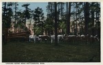 Oxen Pulling a Wagon of Cut Trees, Hattiesburg, Mississippi