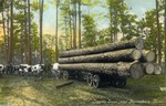 Cut Trees on a Wagon Pulled by Oxen, Logging Scene Near Hattiesburg, Mississippi