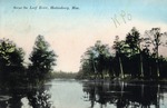 Scene on Leaf River with Trees on Both Sides of the River, Hattiesburg, Mississippi