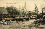 Saw Mill and Logging Scene of Oxen Pulling a Load of Cut Trees, Hattiesburg, Mississippi--Back of the Postcard