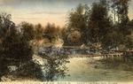 View on Leaf River with a Wooden Footbridge, Hattiesburg, Mississippi