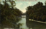 Scene on Leaf River with Thick Trees on Both Sides, Hattiesburg, Mississippi