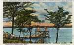 Bathing and Picnicking on Lake Tangipahoa in Percy Quin Park, McComb, Mississippi