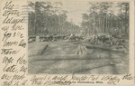 Logging Yellow Pine, Hattiesburg, Mississippi