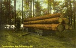 Cut Trees on a Wagon Pulled by Oxen, Logging Scene Near Hattiesburg, Mississippi