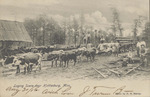Logging Scene Near Hattiesburg, Mississippi