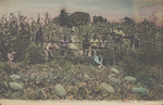 A Raid on the Watermelon Patch, Hattiesburg, Mississippi