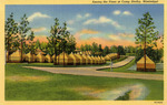 Rows of Tents Among the Pines at Camp Shelby, Hattiesburg, Mississippi