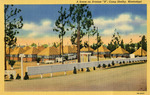 A Scene of Tents and Pine Trees Behind a White Fence on Avenue 