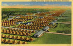 An Aerial View of Several Rows of Tents and Buildings Depicting A Partial View of the Tented City in Camp Shelby, Mississippi