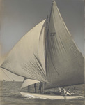 Gaff Rigged Sloop in Action on the Water, 1946 by Scenic South Magazine