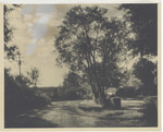 A House and Yard, 1947 by Scenic South Magazine