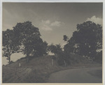 Hillside Landscape Beside a Road