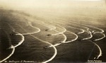 Destroyers at Maneuvers, United States Navy