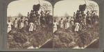 A Rice-Raft with Plantation Hands Near Georgetown, South Carolina
