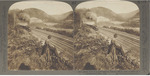 Famous Horseshoe Curve (80 Feet Rise in 2571 feet), Alleghany Mountains, Pennsylvania