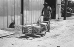 African American man pushing eggs on cart 2 [Slide Farm-17] by Howard Langfitt