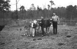 Three boys and calves [Slide Farm-17] by Howard Langfitt