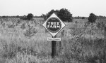 Tree [Slide Farm-19] by Howard Langfitt