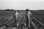 Men in field 2 [Slide Farm-9] by Howard Langfitt