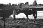 Boy feeding horse by Howard Langfitt