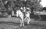Boy on horse by Howard Langfitt