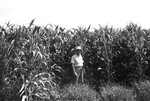 Corn [Slide Farm-19] by Howard Langfitt