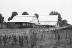 Loafing barn [Slide Farm-13] by Howard Langfitt