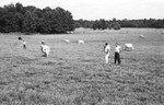 Men In Pasture [Slide Farm-4] by Howard Langfitt