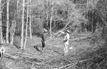 Timber and men 2 [Slide Farm-8] by Howard Langfitt