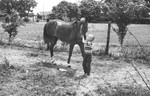 Boy and horse by Howard Langfitt