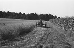 Mowing hay 2 [Slide Farm-13] by Howard Langfitt