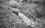 Water pipe [Slide Farm-19] by Howard Langfitt