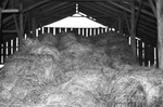 Hay in barn [Slide Farm-17] by Howard Langfitt