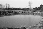Pond [Slide Farm-10] by Howard Langfitt