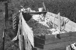 Cotton in wagon [Slide Farm-6] by Howard Langfitt