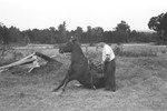 Horse [Slide Farm-20] by Howard Langfitt