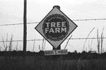 Tree [Slide Farm-sign [Slide Farm-17] by Howard Langfitt