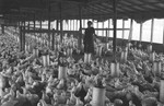 Chickens [Slide Farm-17] by Howard Langfitt