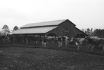 Hay Barn [Slide Farm-16] by Howard Langfitt