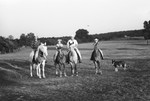 Horsemen 4 [Slide Farm-26] by Howard Langfitt