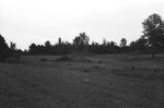 Land cleared [Slide Farm-17] by Howard Langfitt