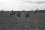 Men in pasture [Slide Farm-14] by Howard Langfitt